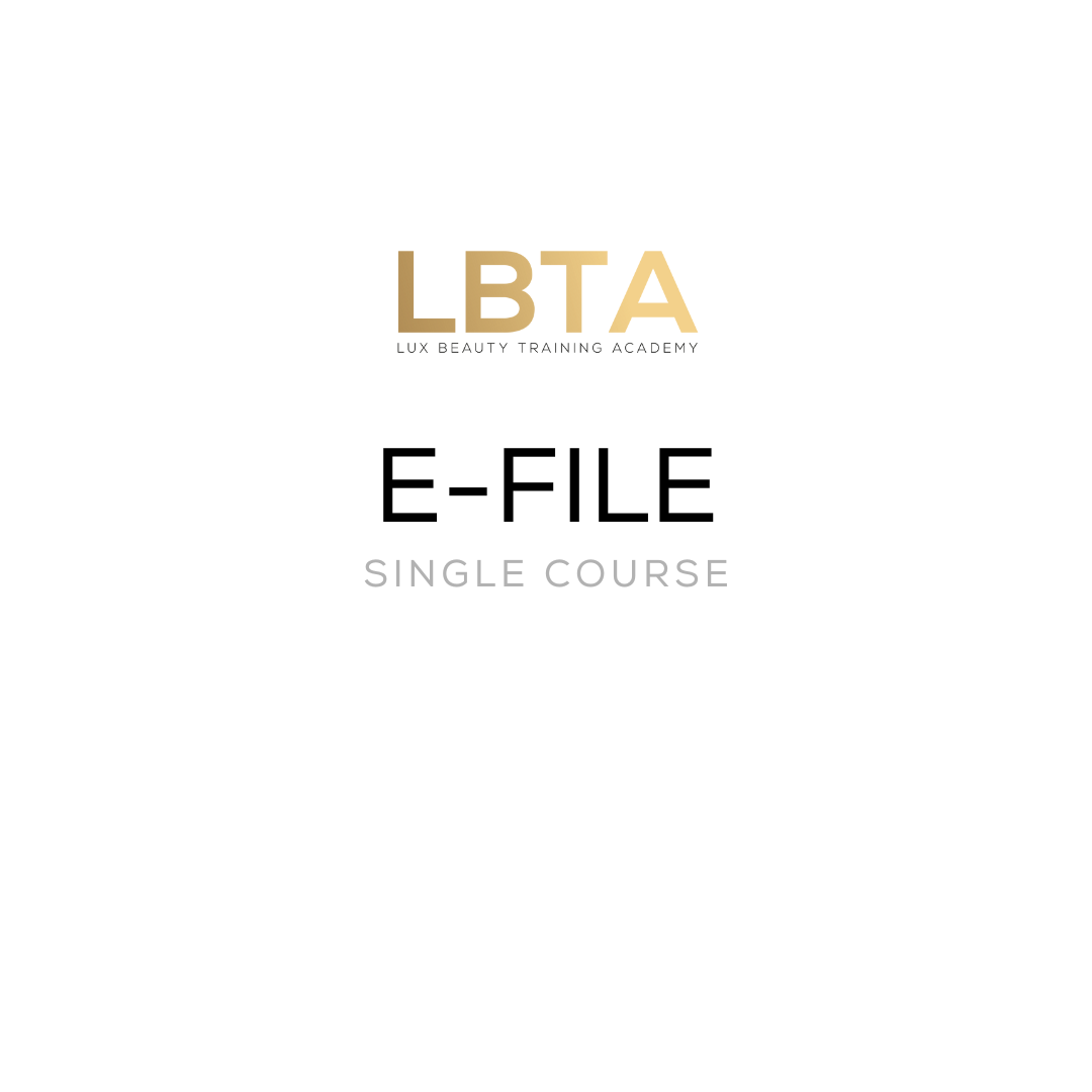 E-File Course - book