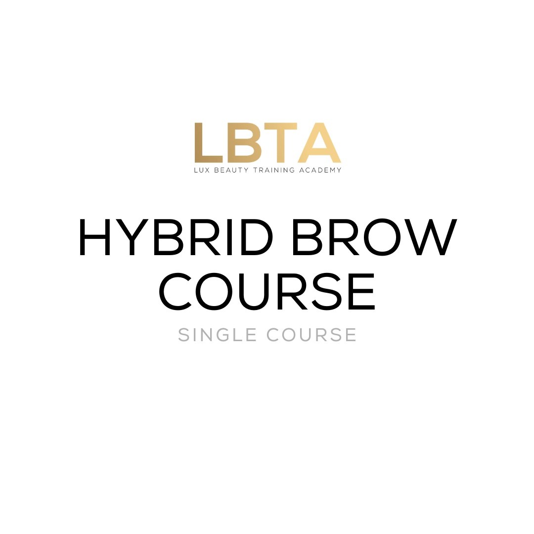 Hybrid Brow Course