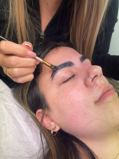 Hybrid Brow Course - book